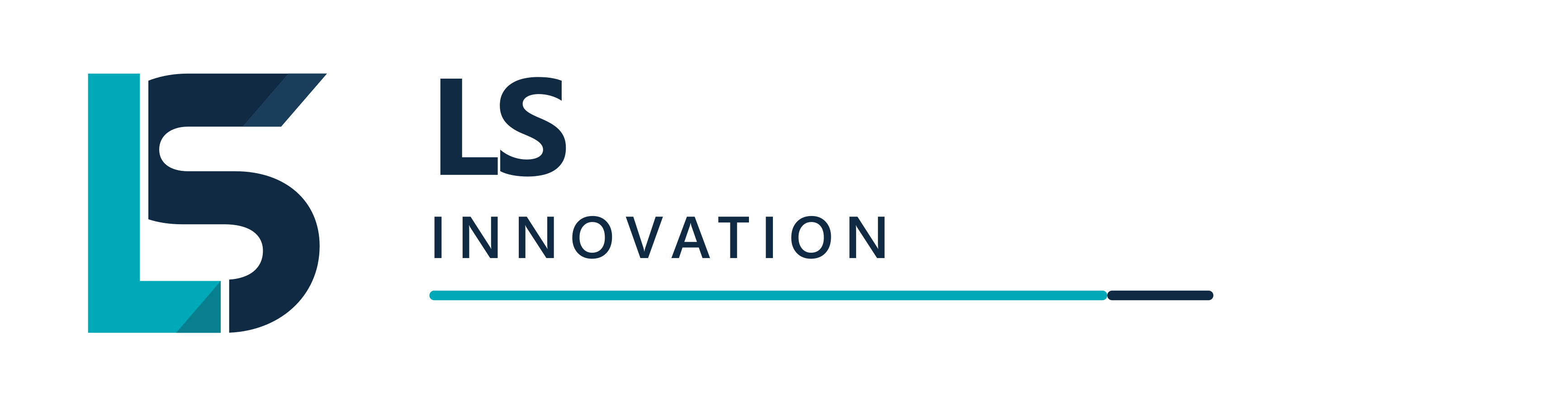 LSInnovation